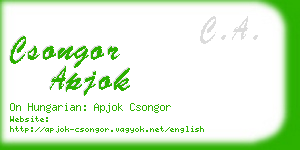 csongor apjok business card